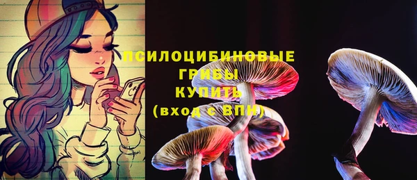 гидра Протвино