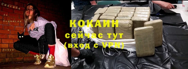 спайс Баксан
